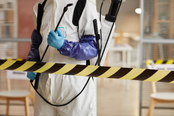 Professional Hoarding Cleanup technician working in Newport, WA